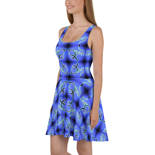 Dimvy Skater Dress